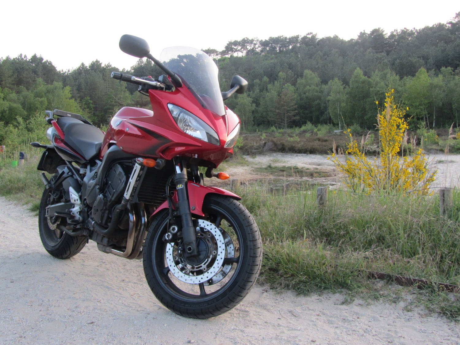 Evening ride near the dunes.