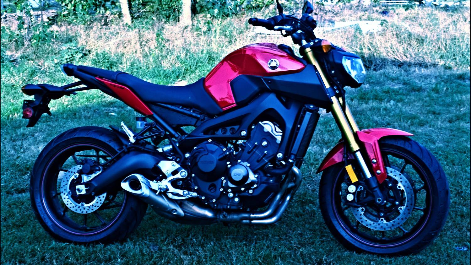 FAZER 09!