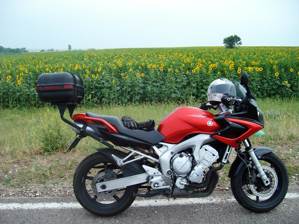 Fazer_sunflower
