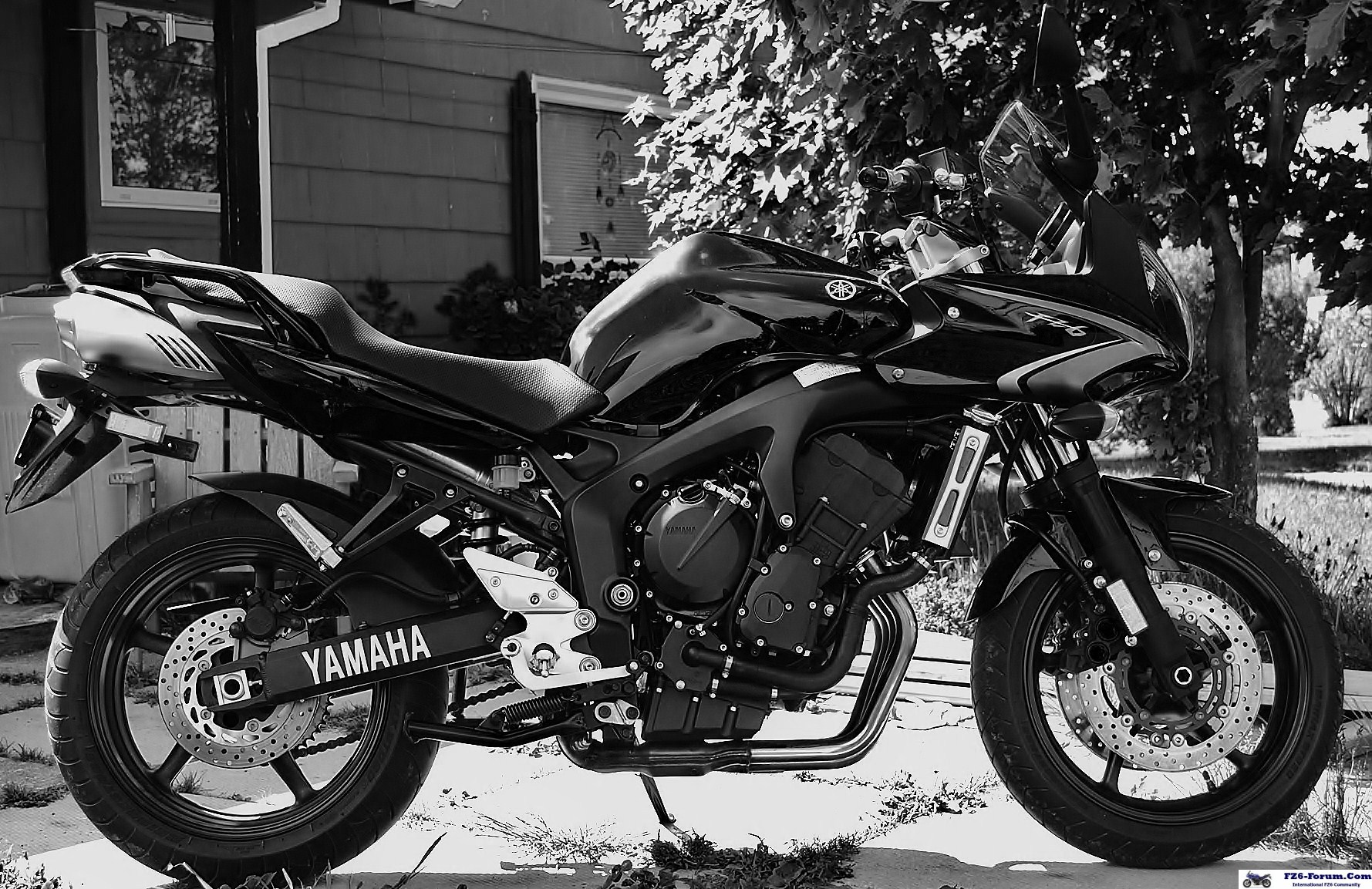 FAZERRIDERS 2009 Yamaha FZ6