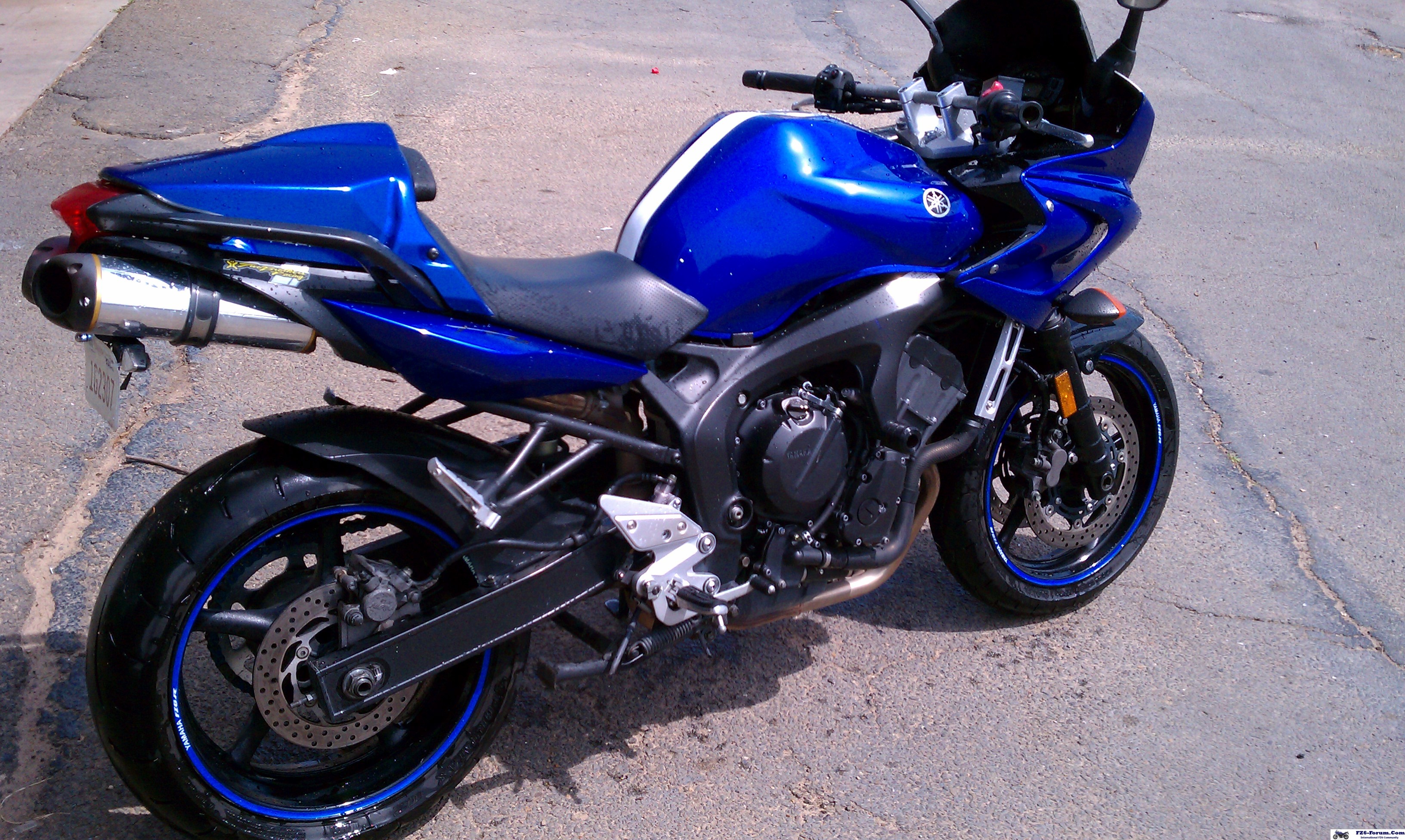 FZ after a bath