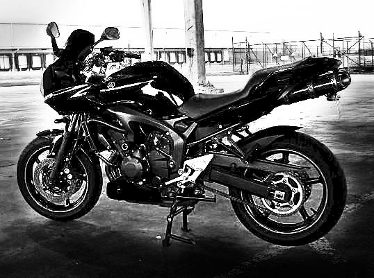 FZ1