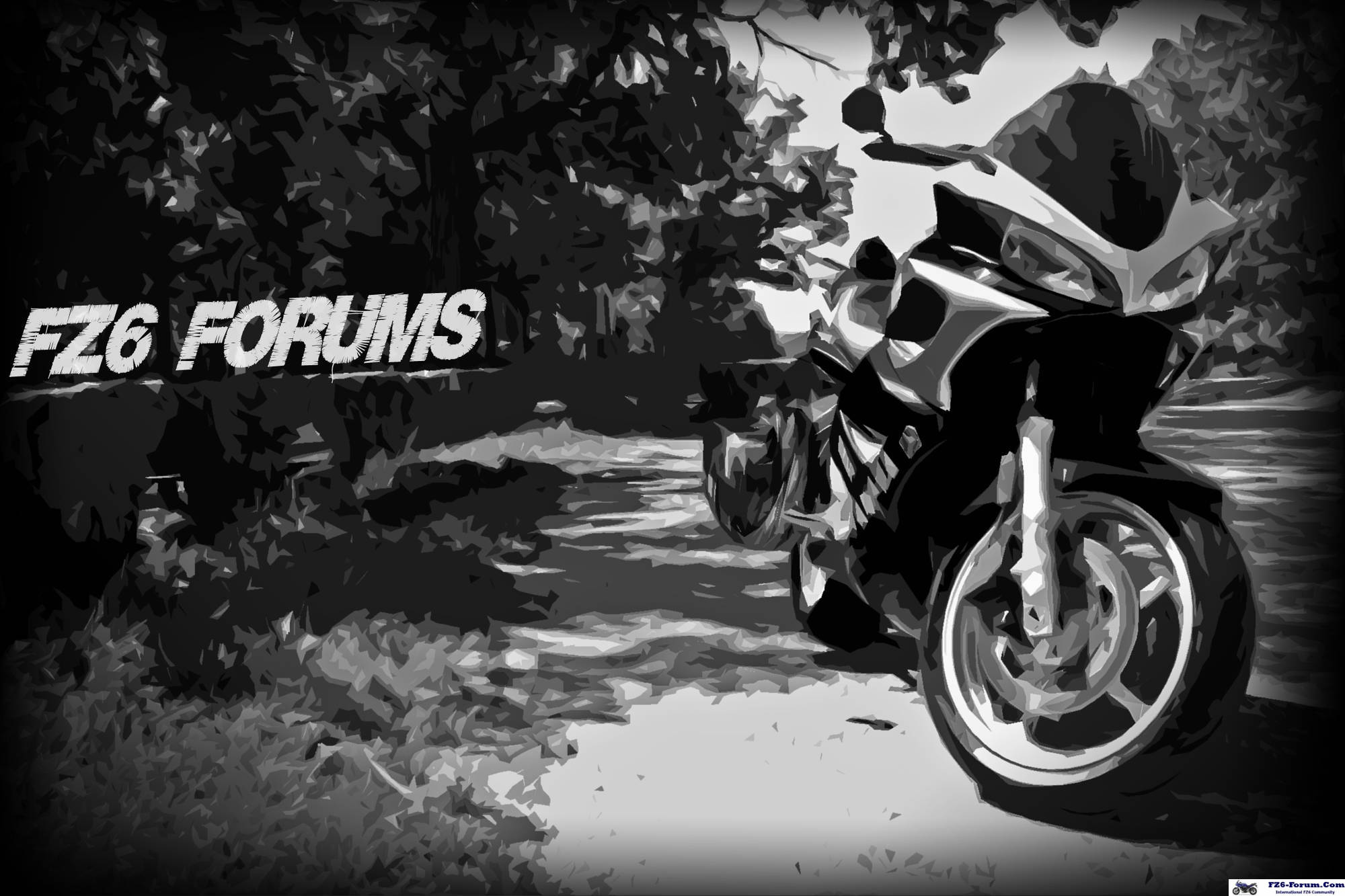 FZ6 Forum