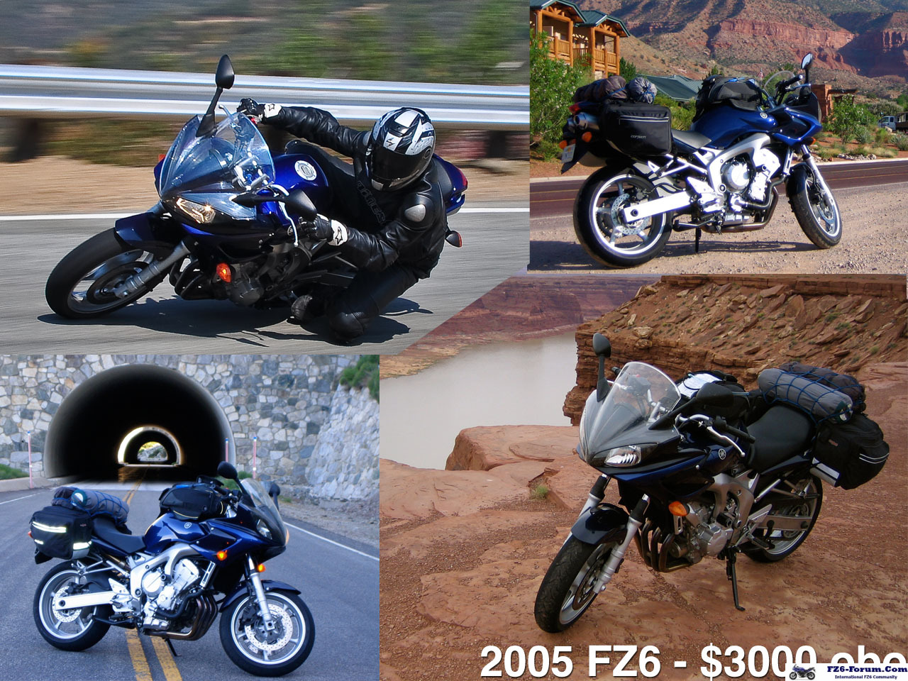 FZ6 In Action