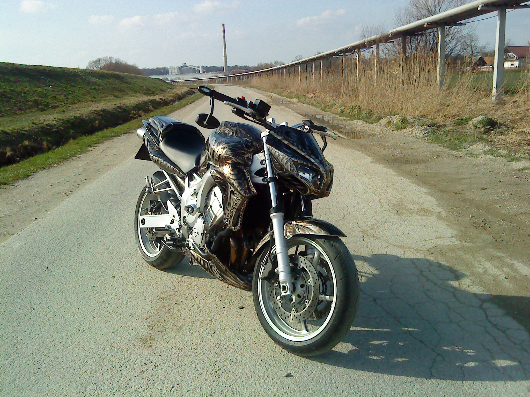 fz6 streetfighter