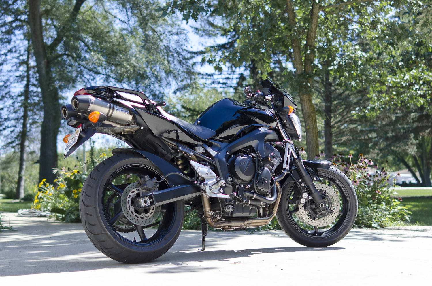 FZ6