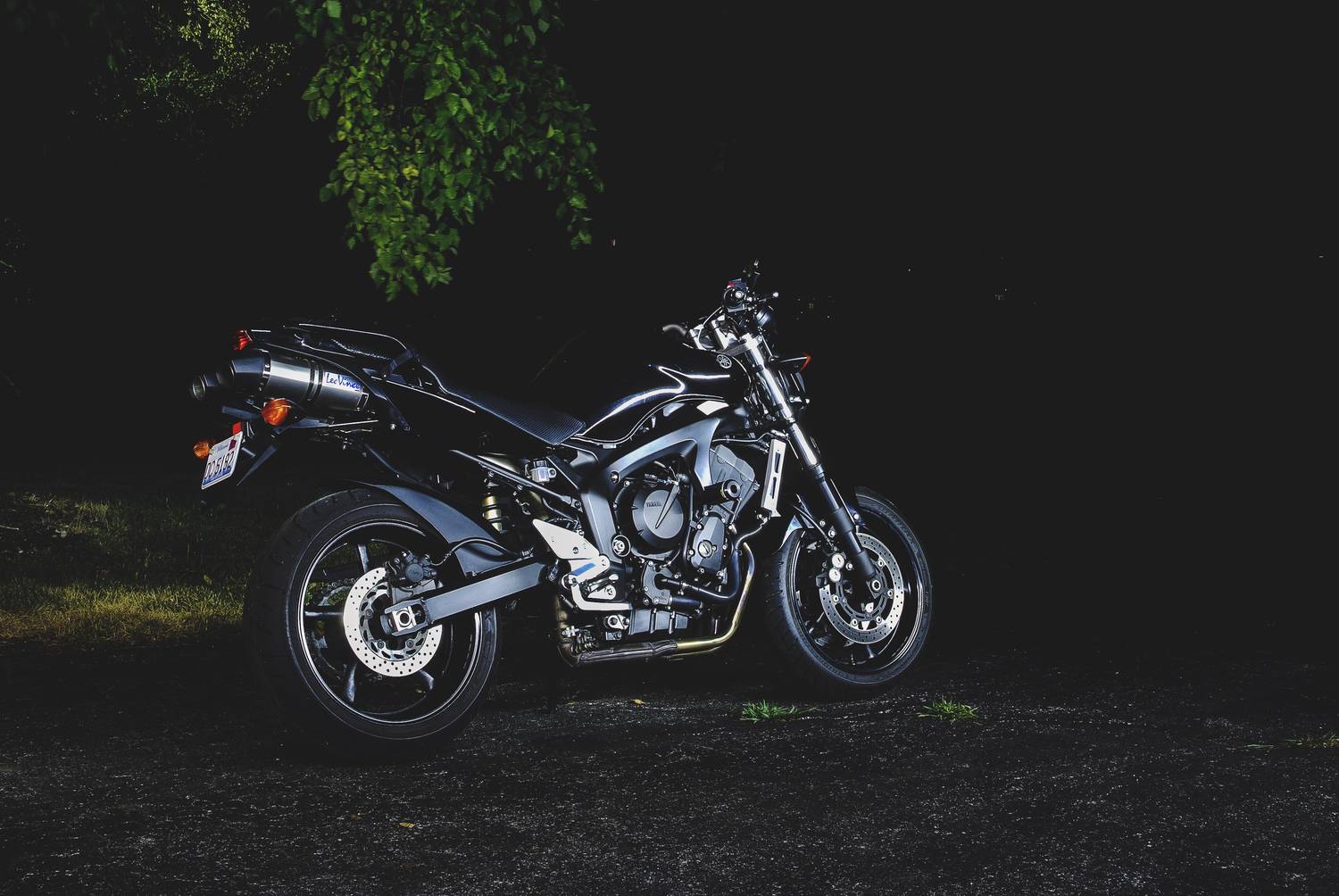 FZ6