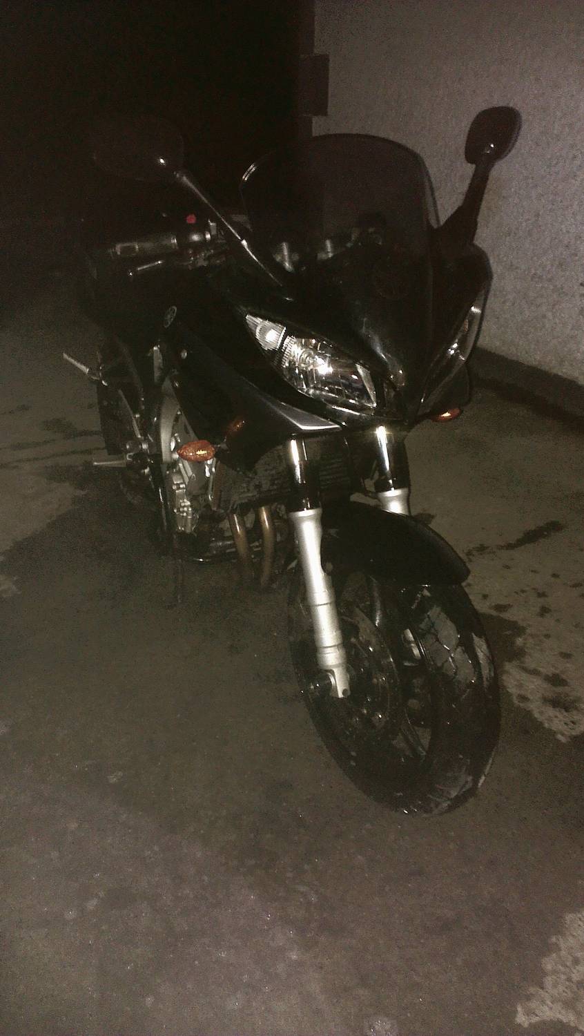 fz6_1