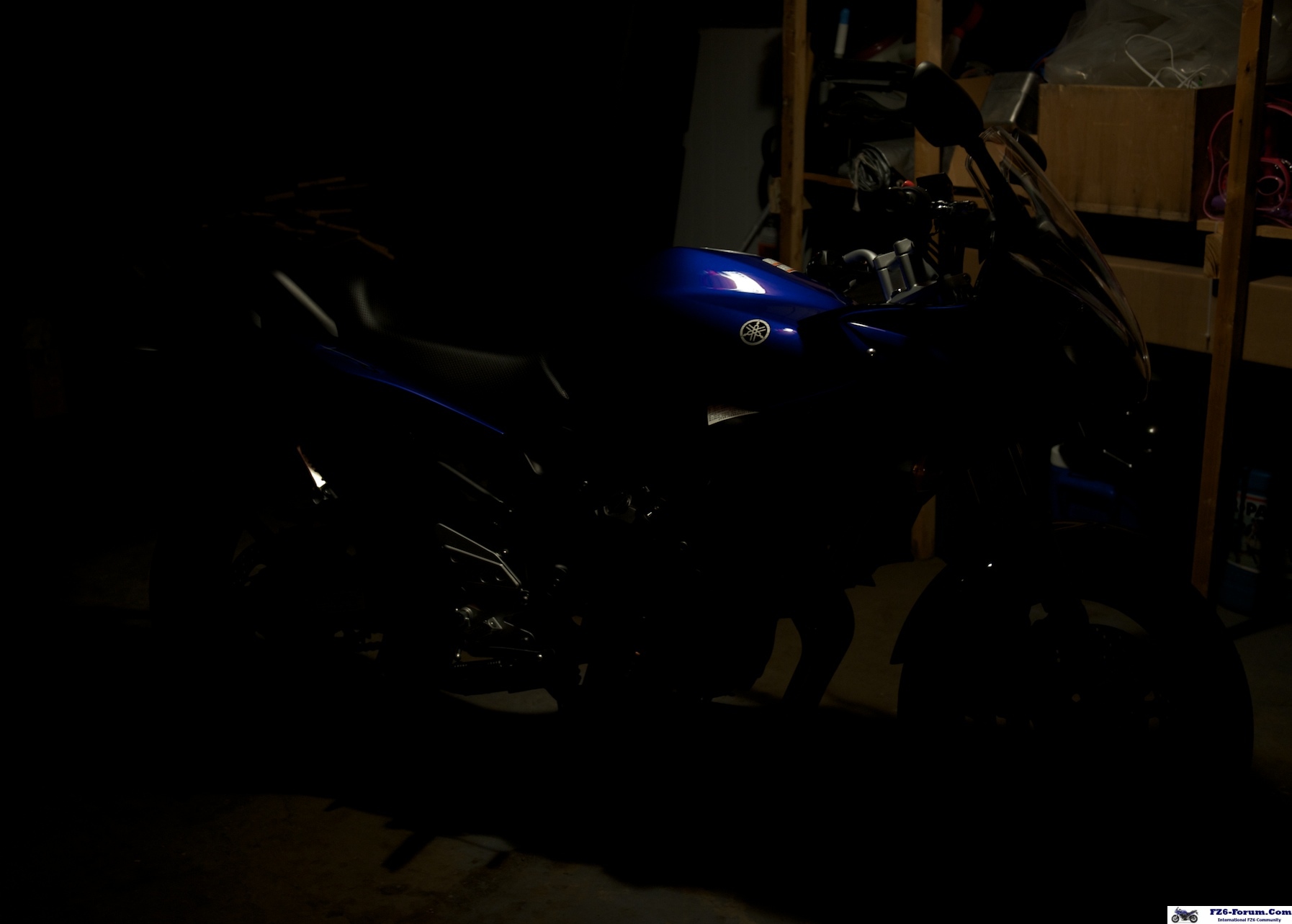 FZ6_111