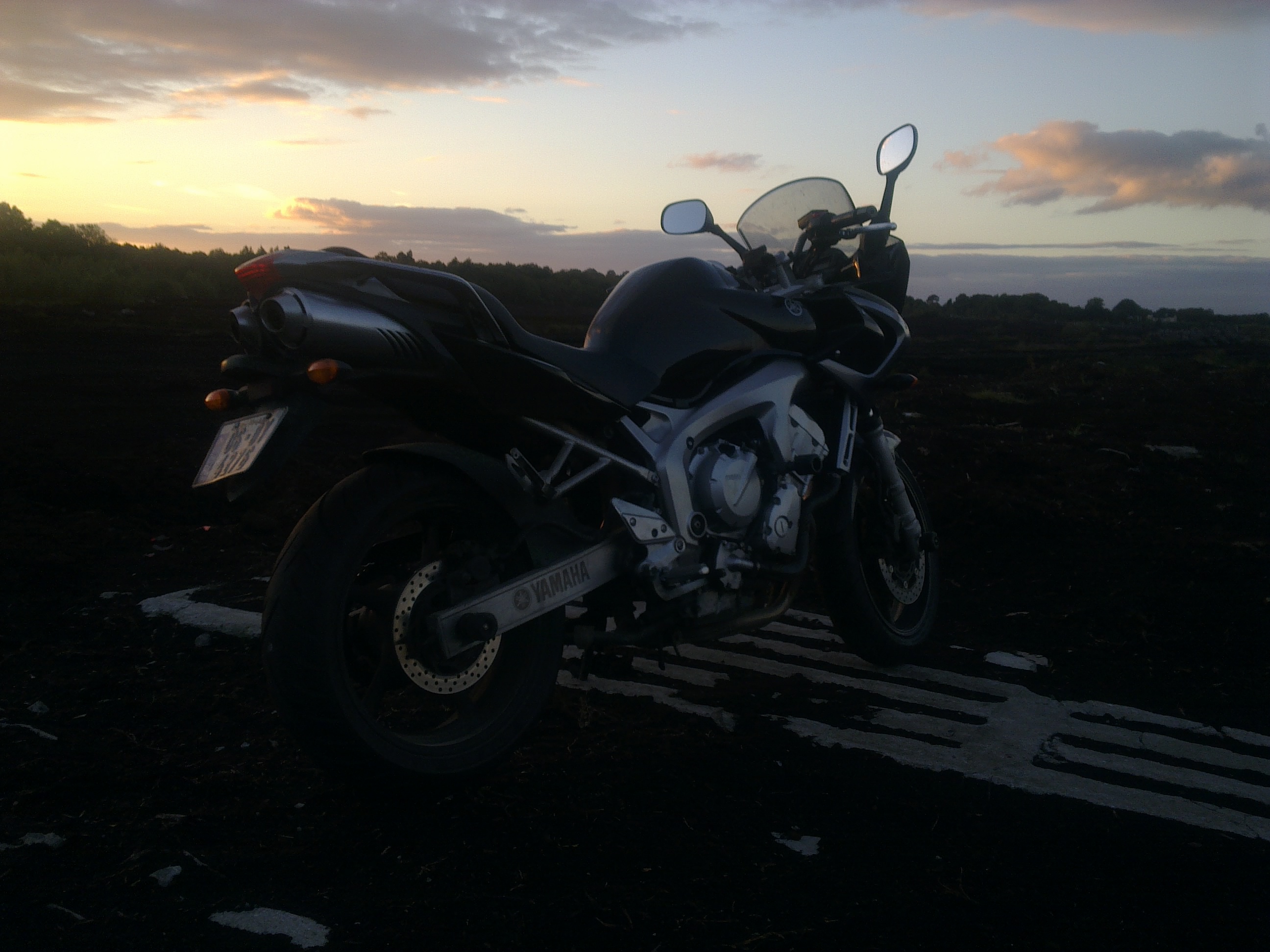 Fz6_bog_2