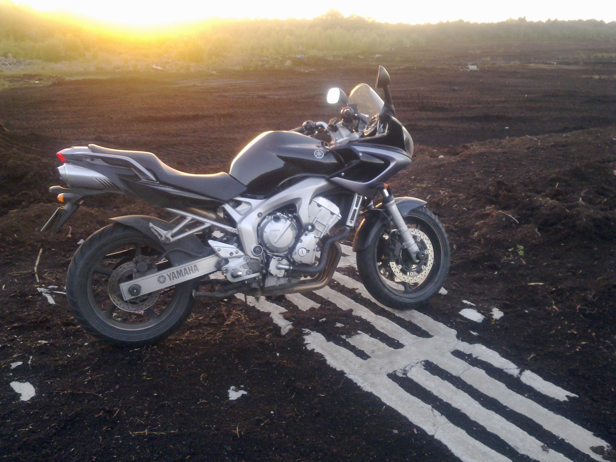 Fz6_bog_3