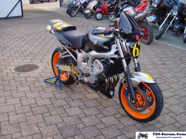FZ6_Wale_06