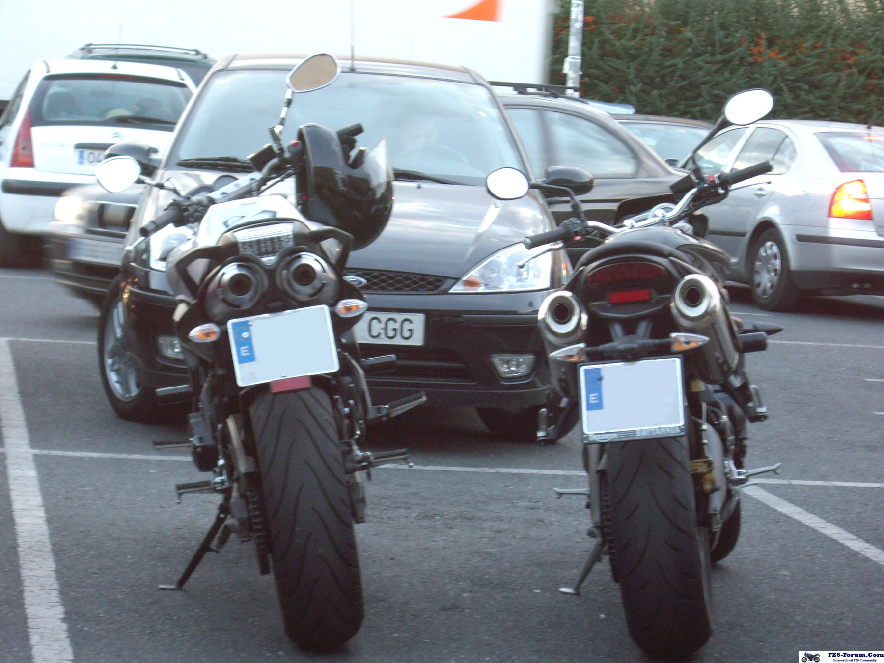 Fz6Ns2 - S.L.Escorial