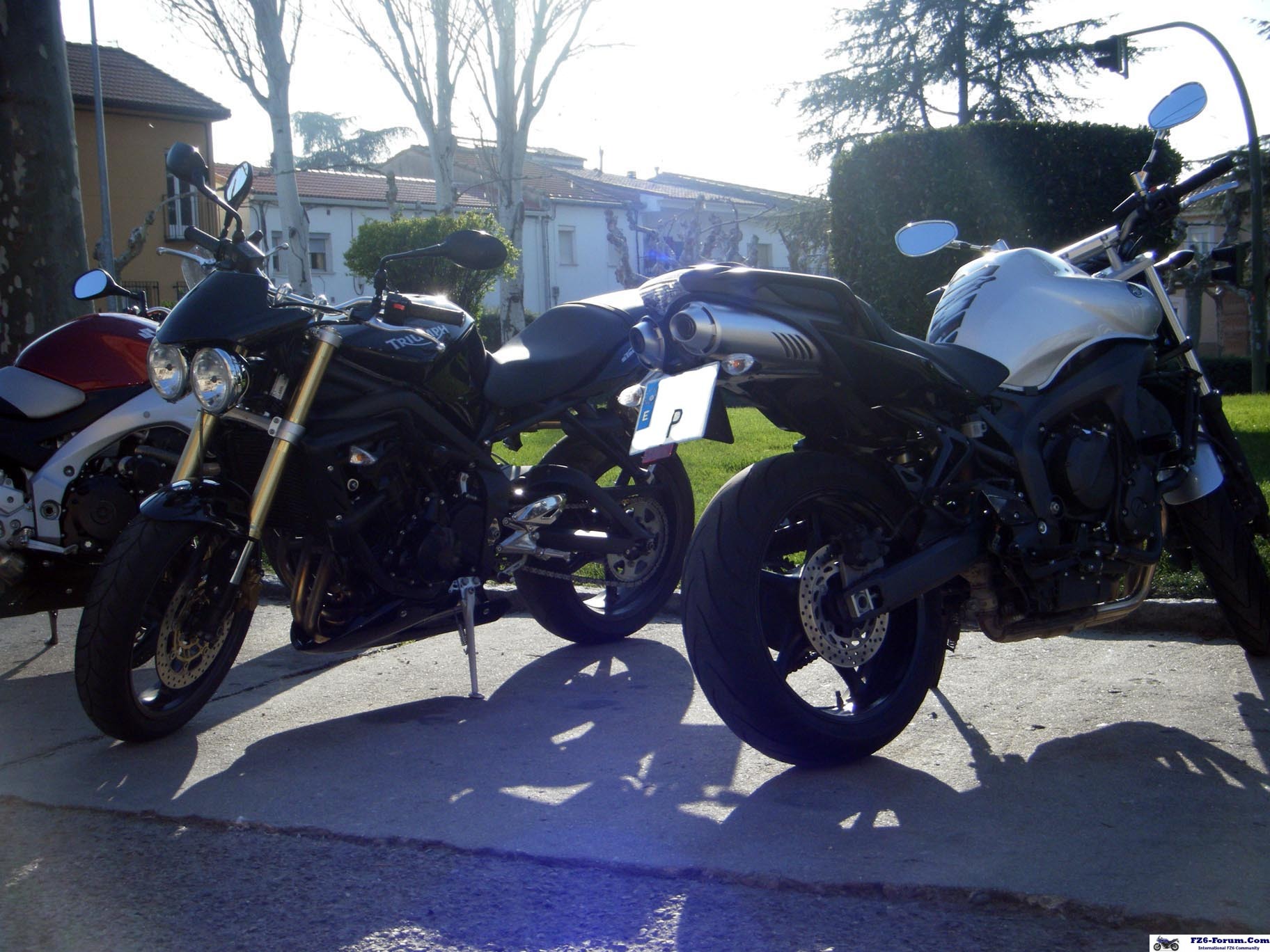 Fz6Ns2 - S.L.Escorial