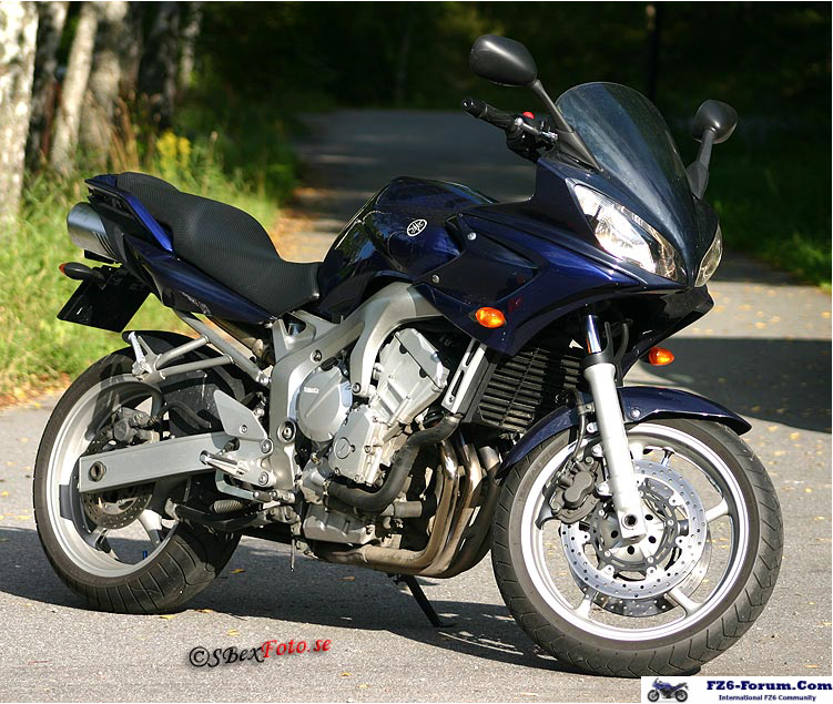 FZ6s