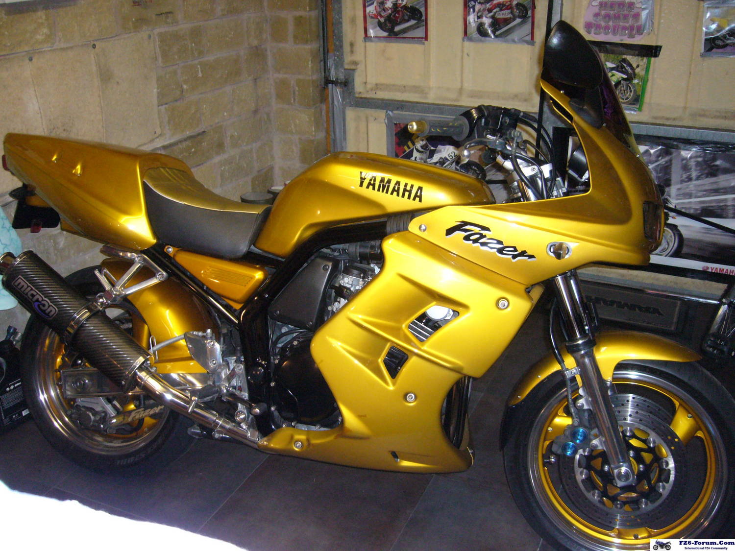 gold fazer 600