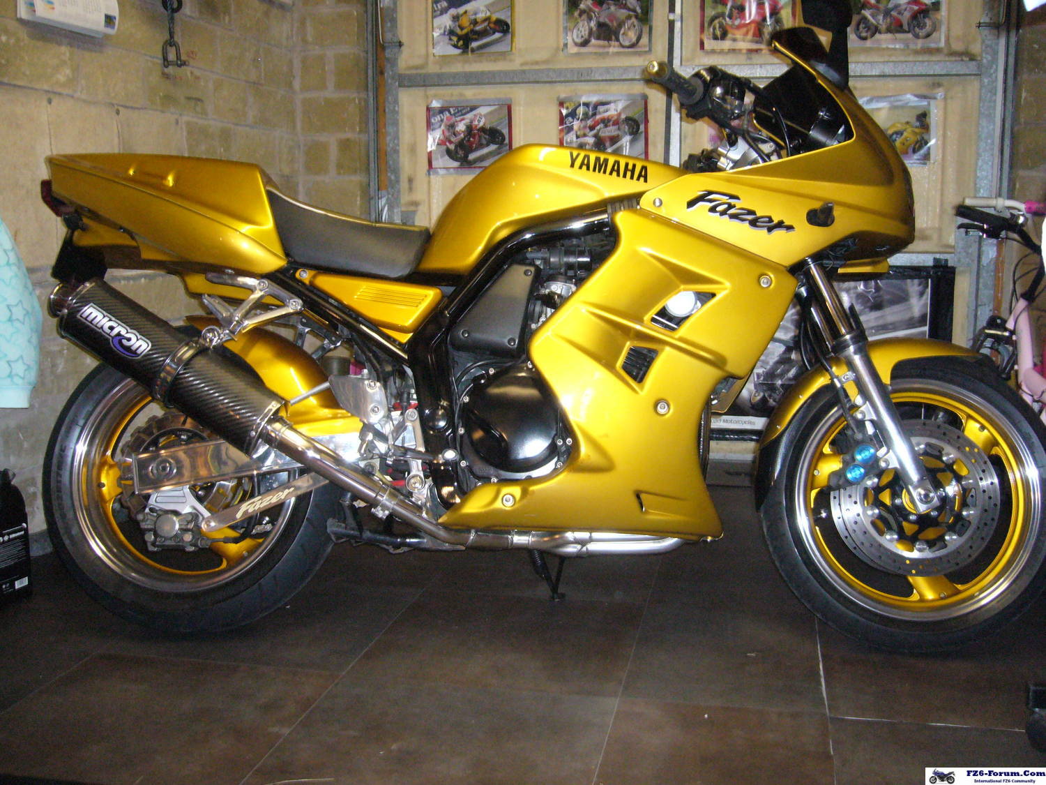 gold fazer 600
