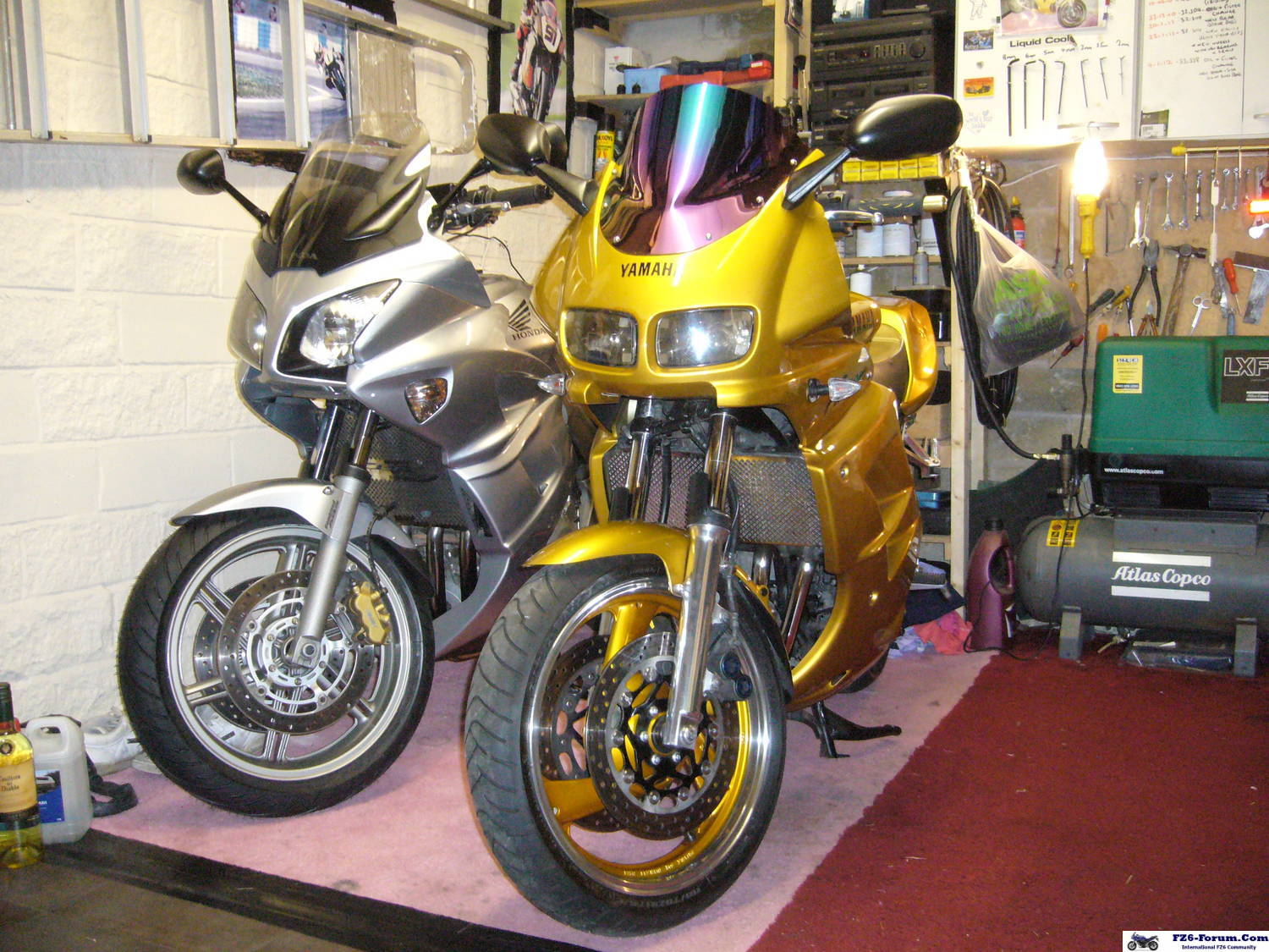 gold fazer 600