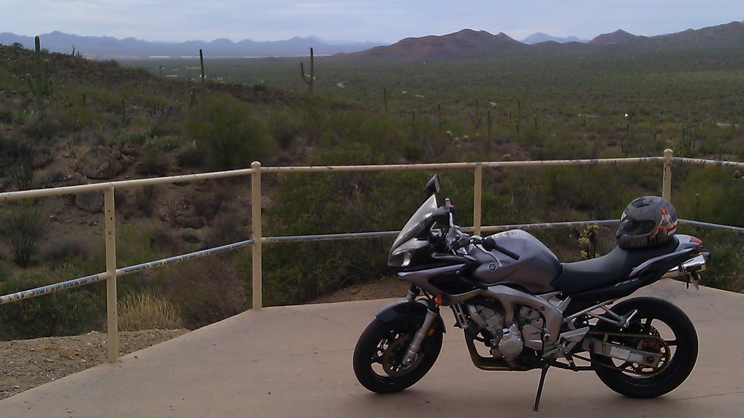 Grims FZ6