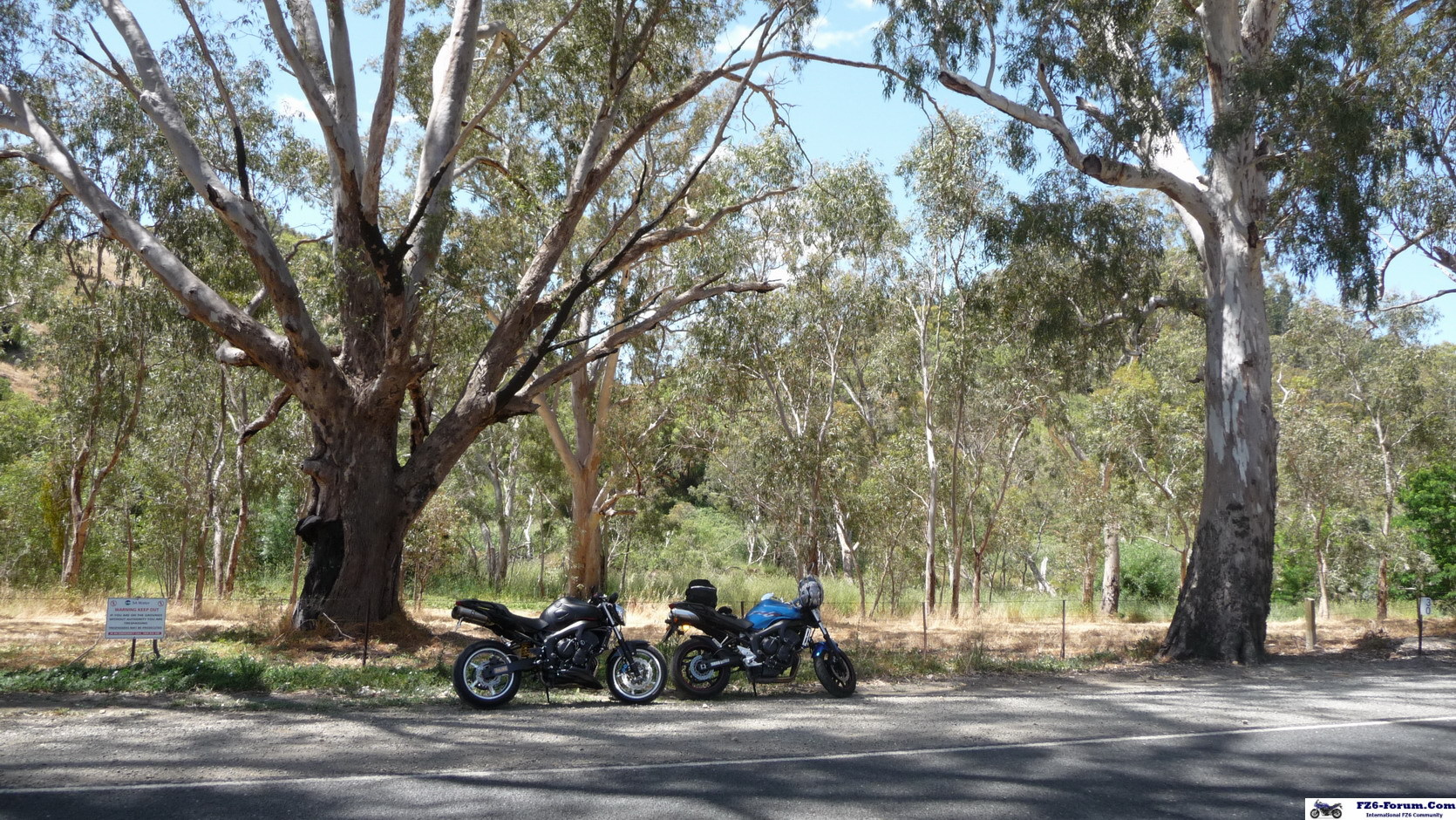 gumeracha