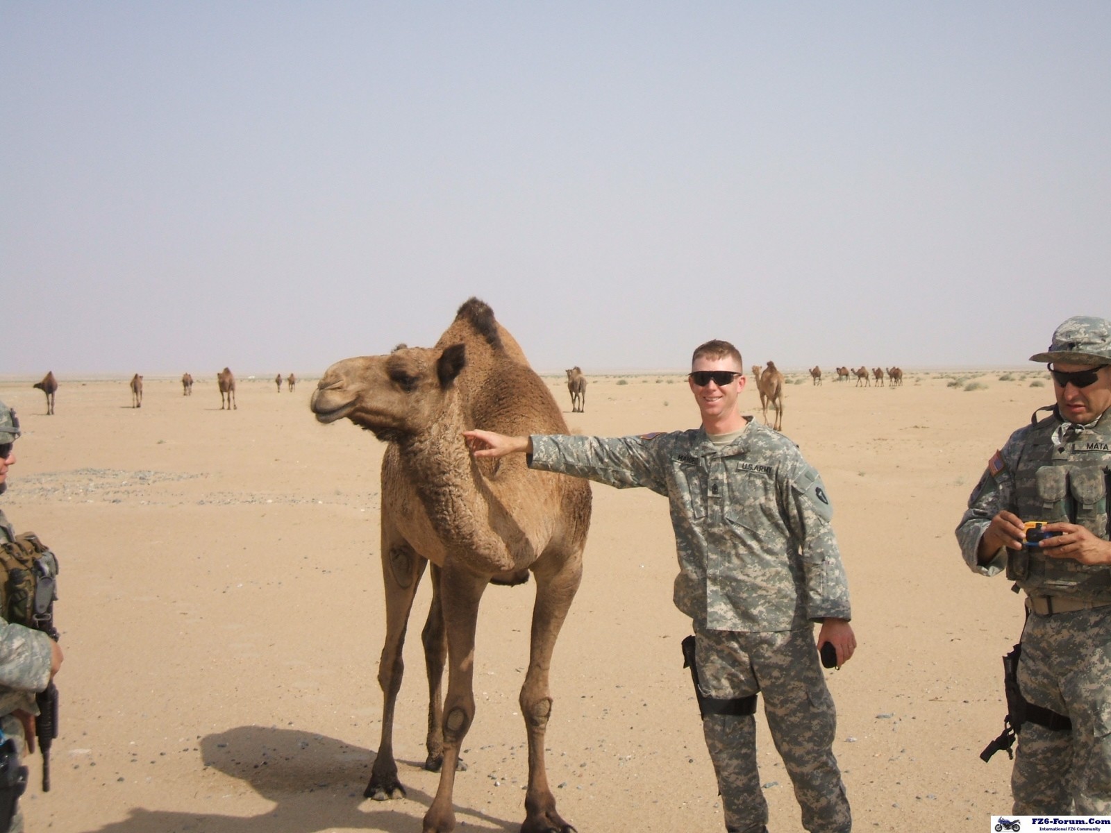Hellgate Petting a Camel in Kuwait - 2006