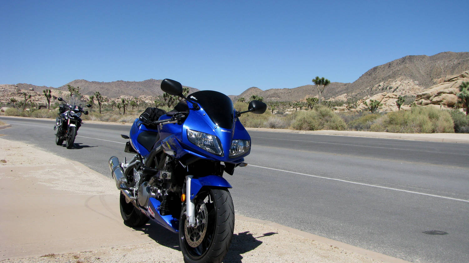 High Desert Cruiser