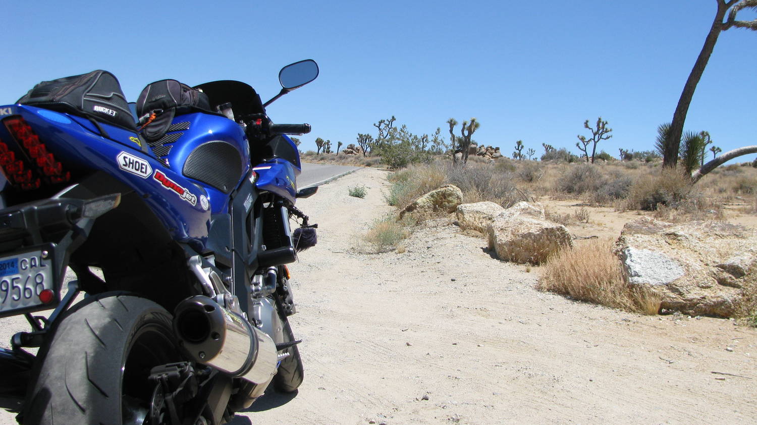 High Desert Rider