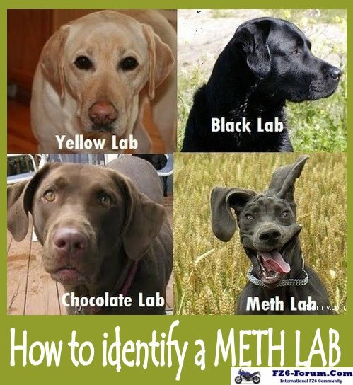 How to spot a Meth Lab