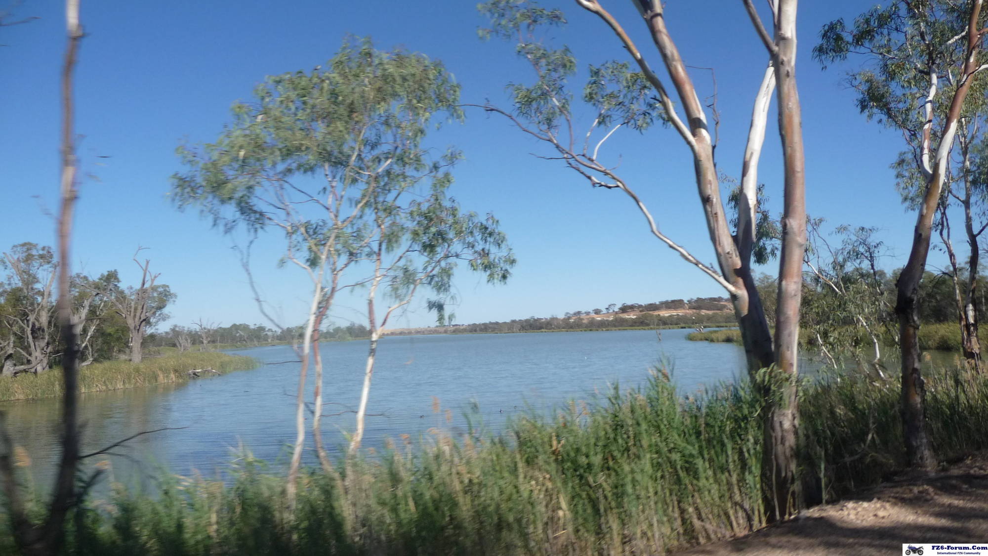 Lagoon