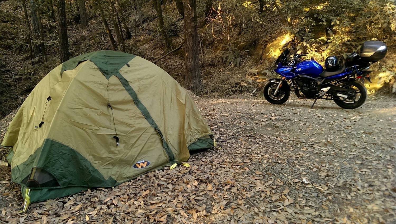 Mattole Rd
