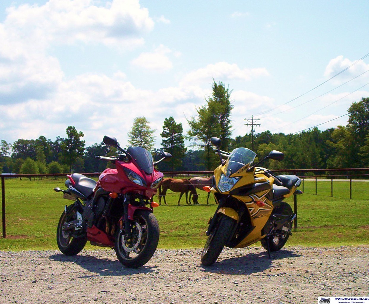 Modern Day Cowboy's
