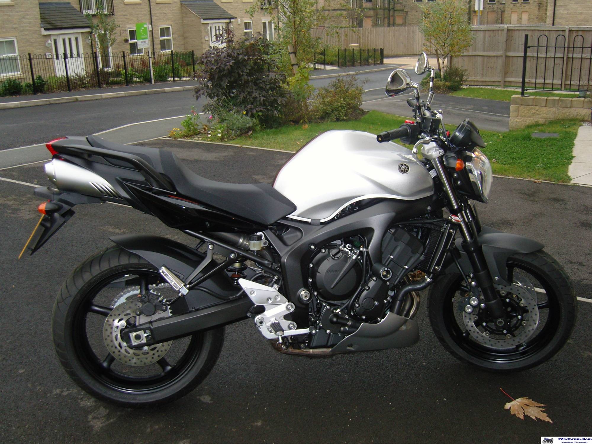 my new fz6