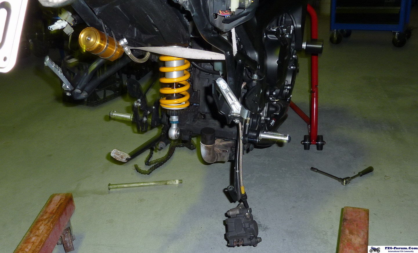 P1000366_resize_crop
