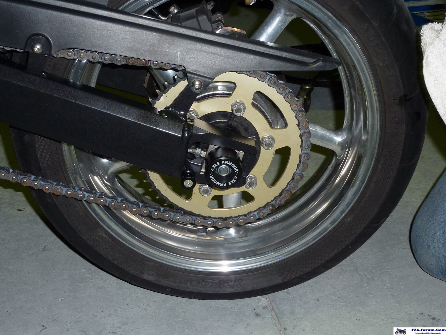 P1000402_resize_crop