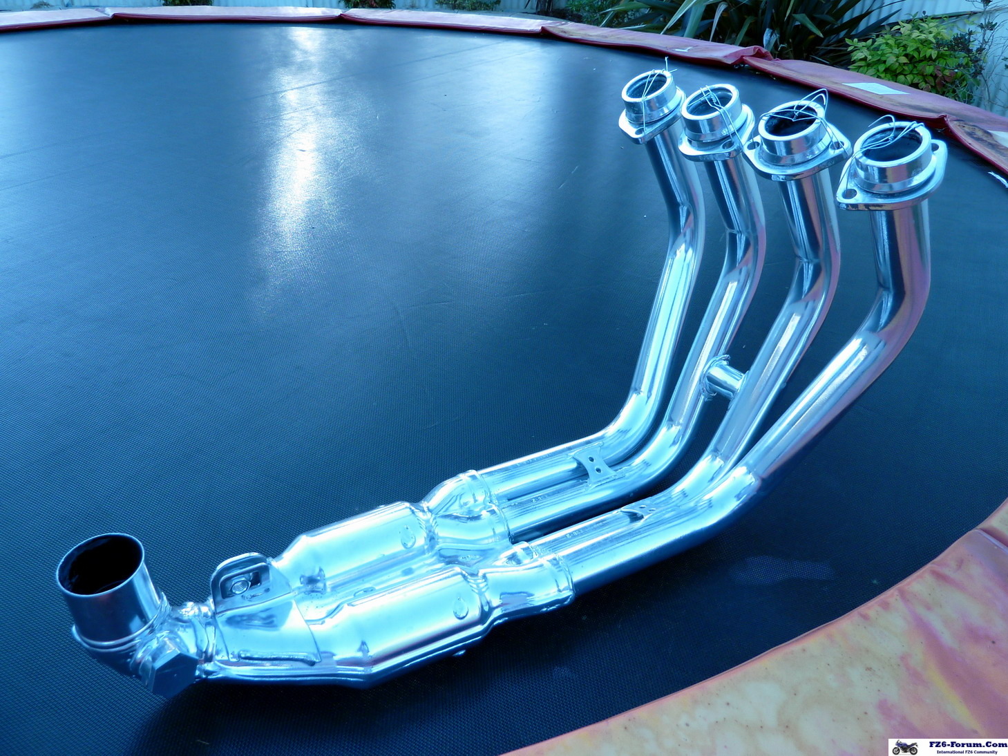 P1010209_resize