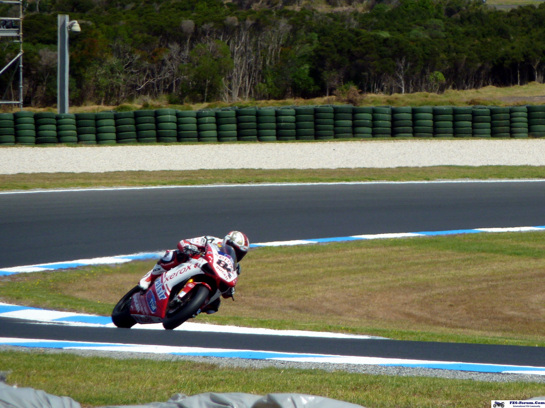 P1020982_resize_crop