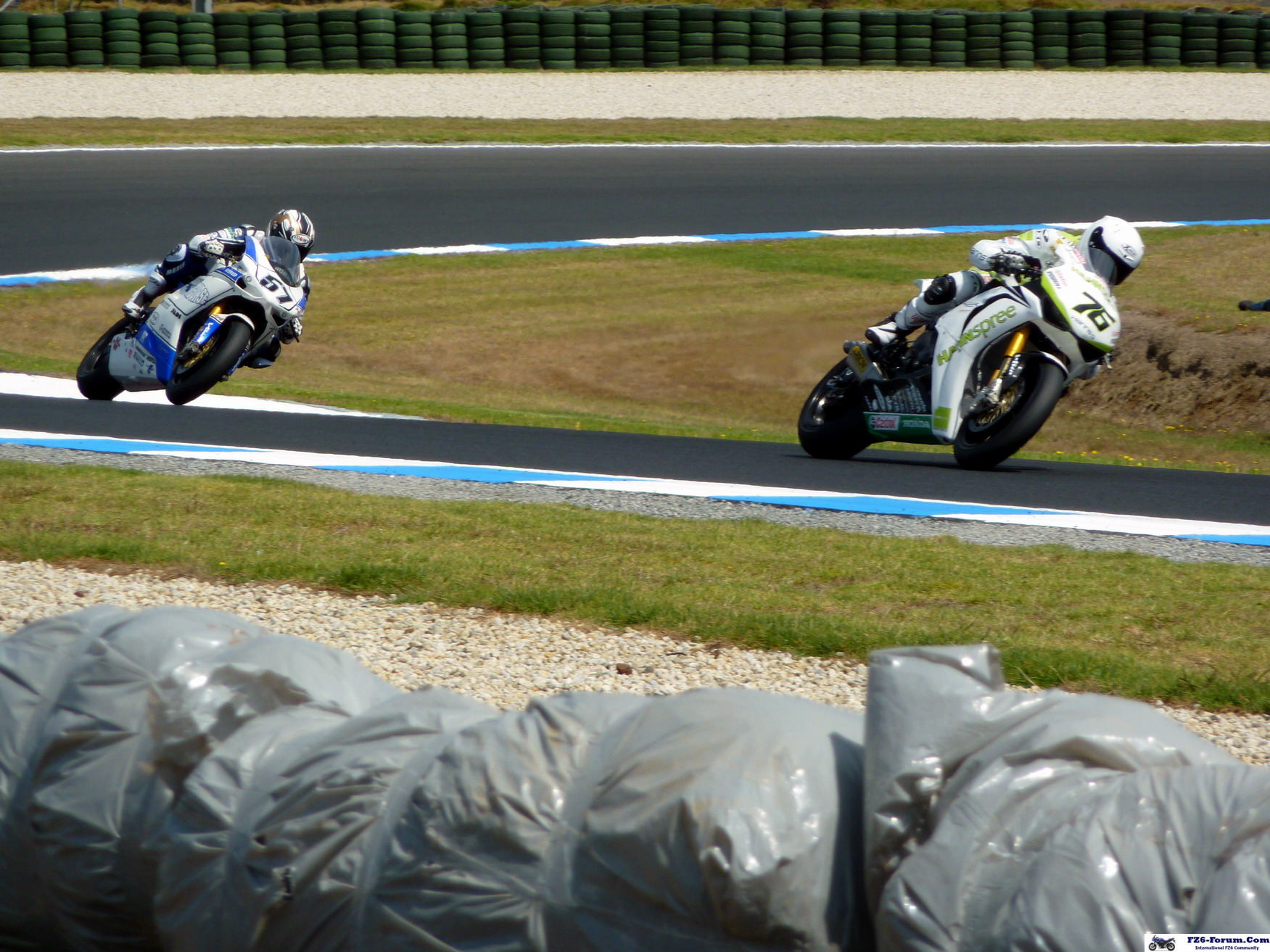 P1030006crop
