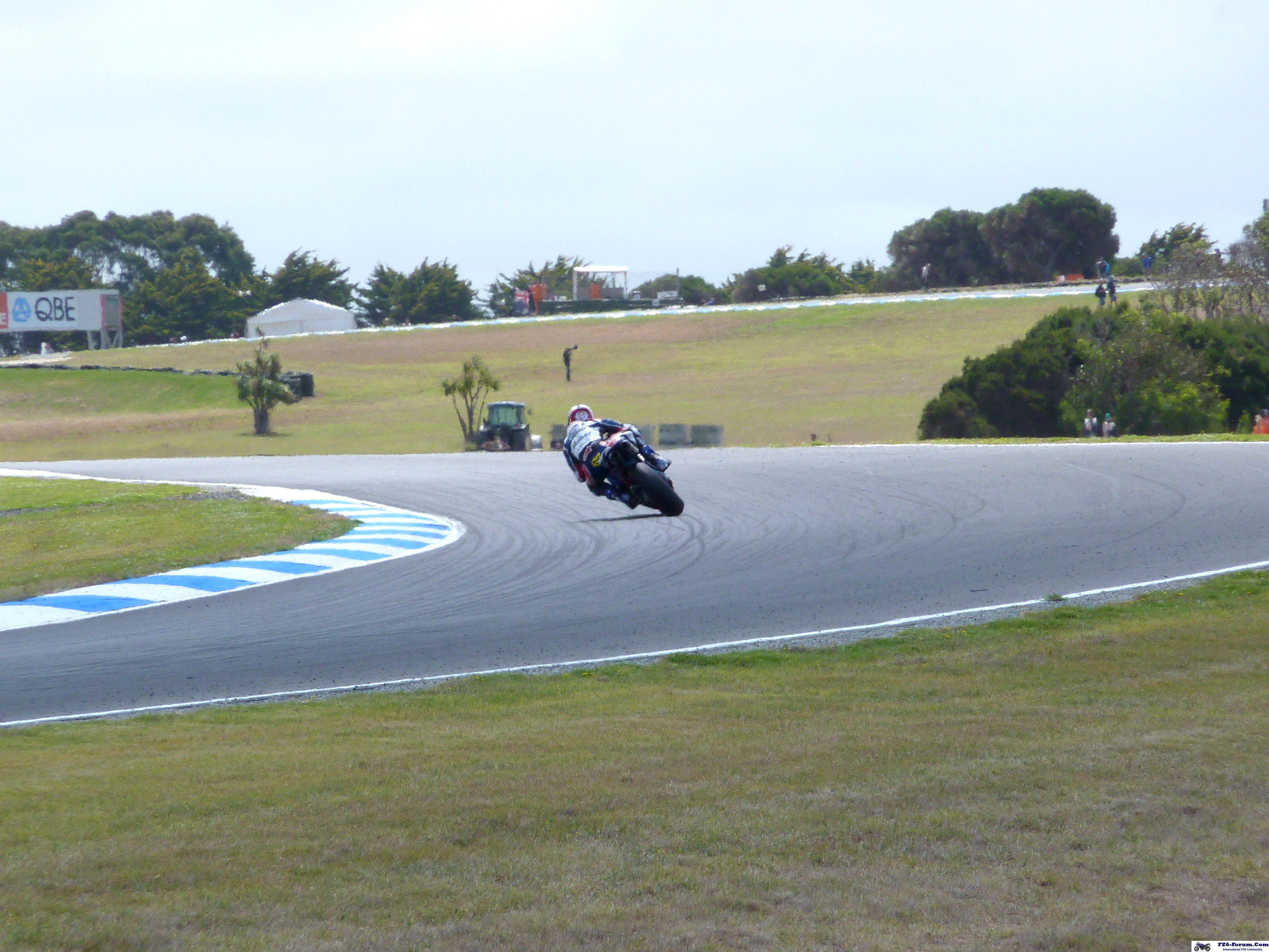 P1030020_crop
