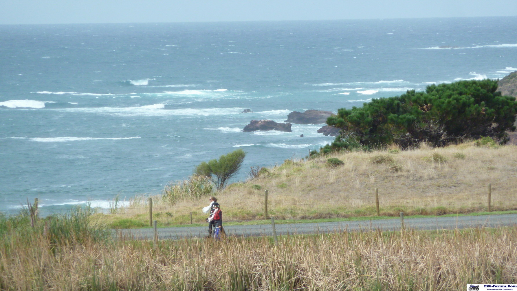 P1030138_resize