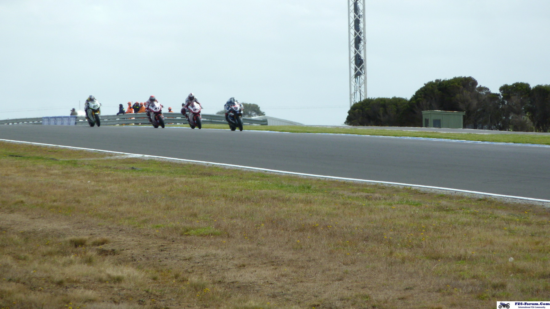 P1030273_resize_crop