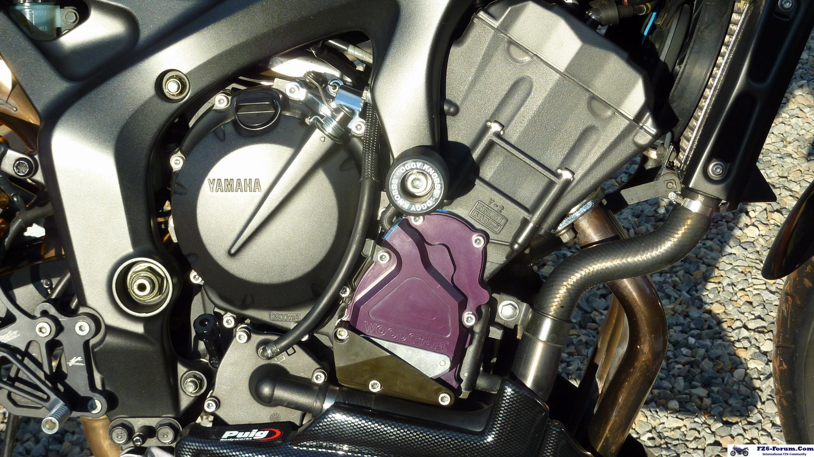 P1040481_resize
