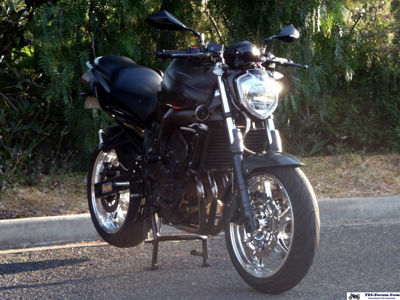 P1050079_RESIZE_CROP