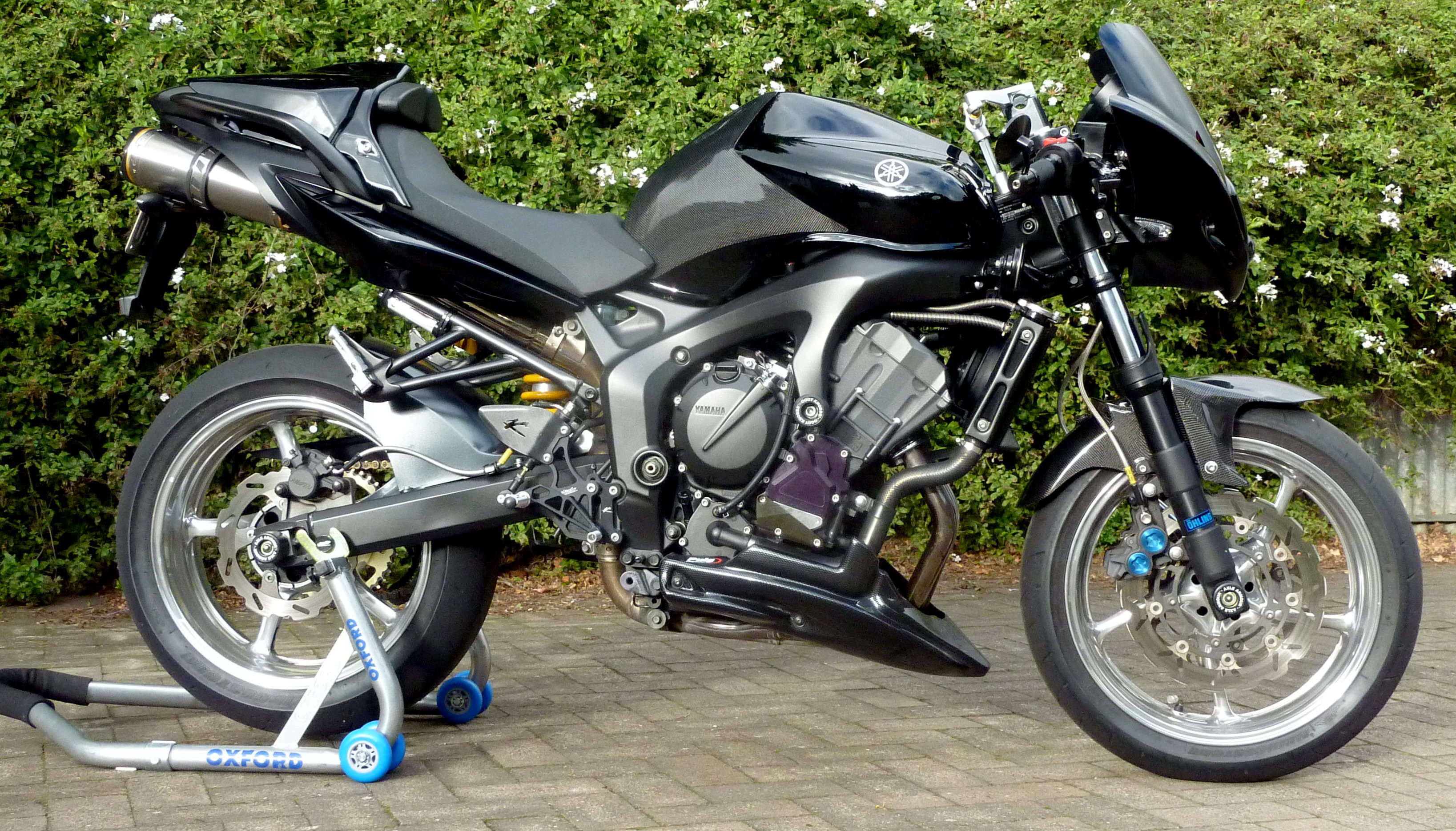 P1050247_crop
