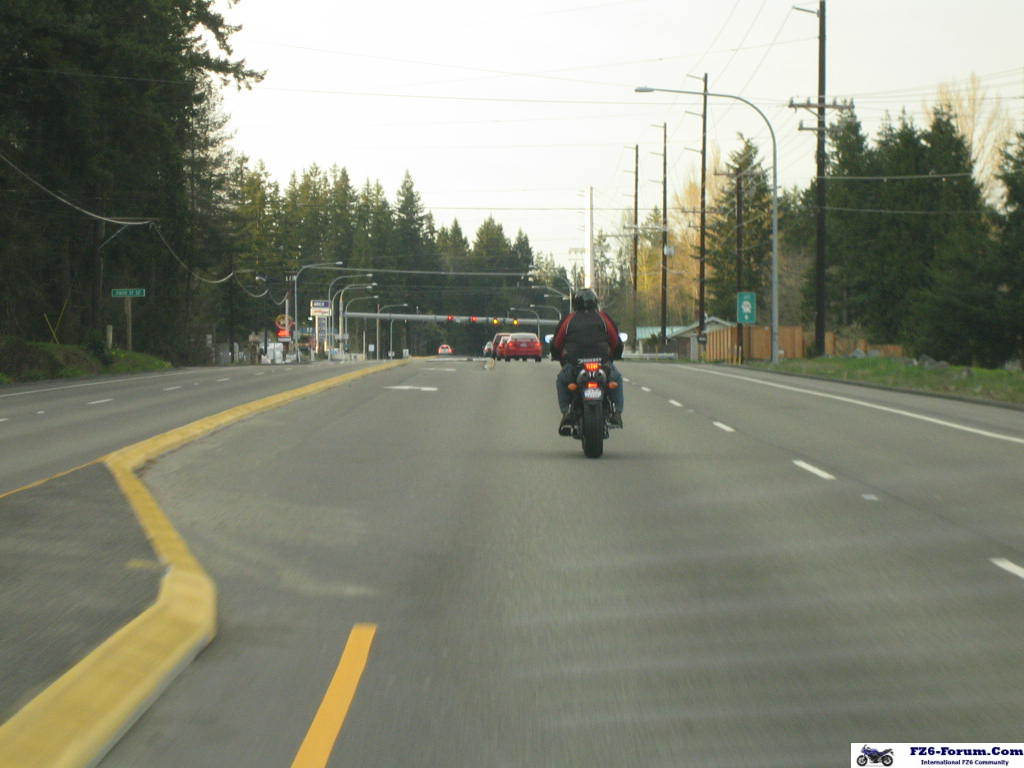 Picture_0091