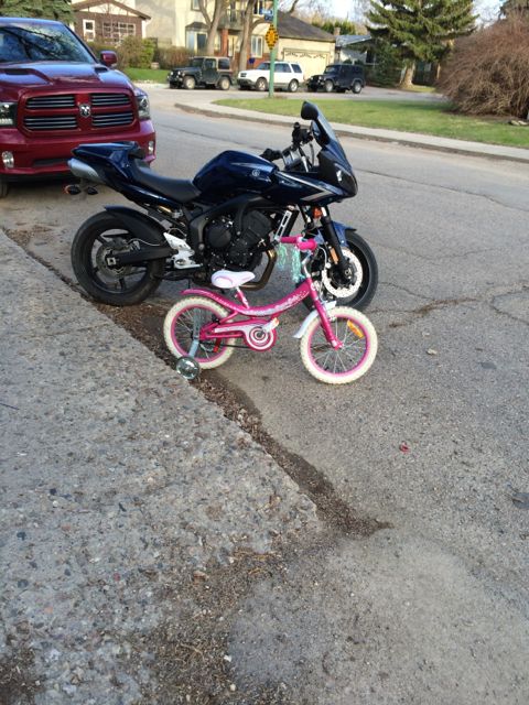 Pink vs Blue ?