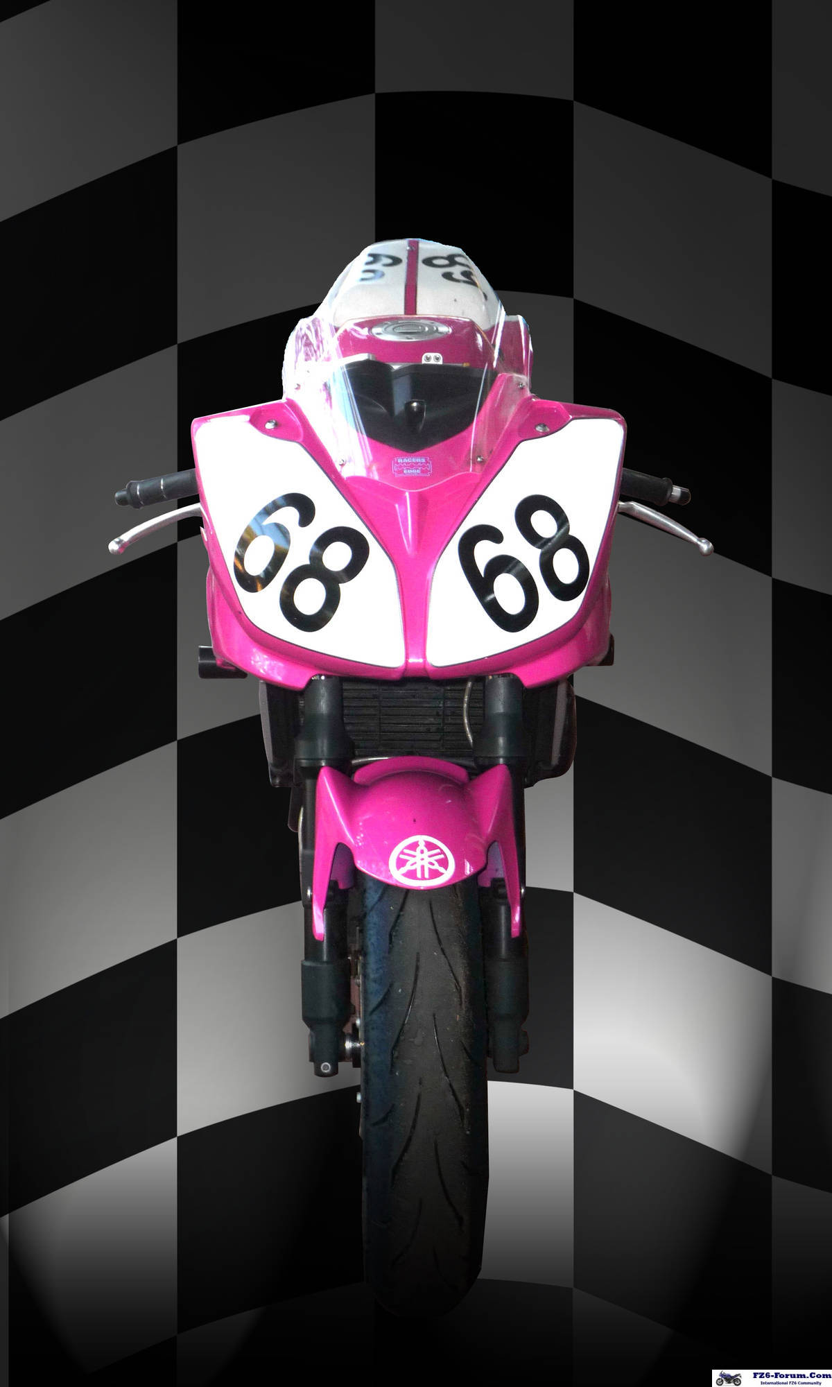 pinky on parade!