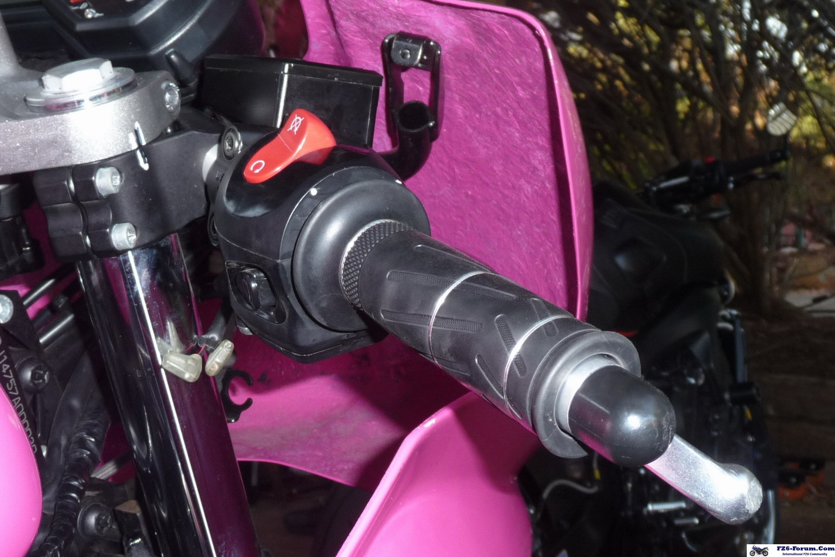 Pinky!