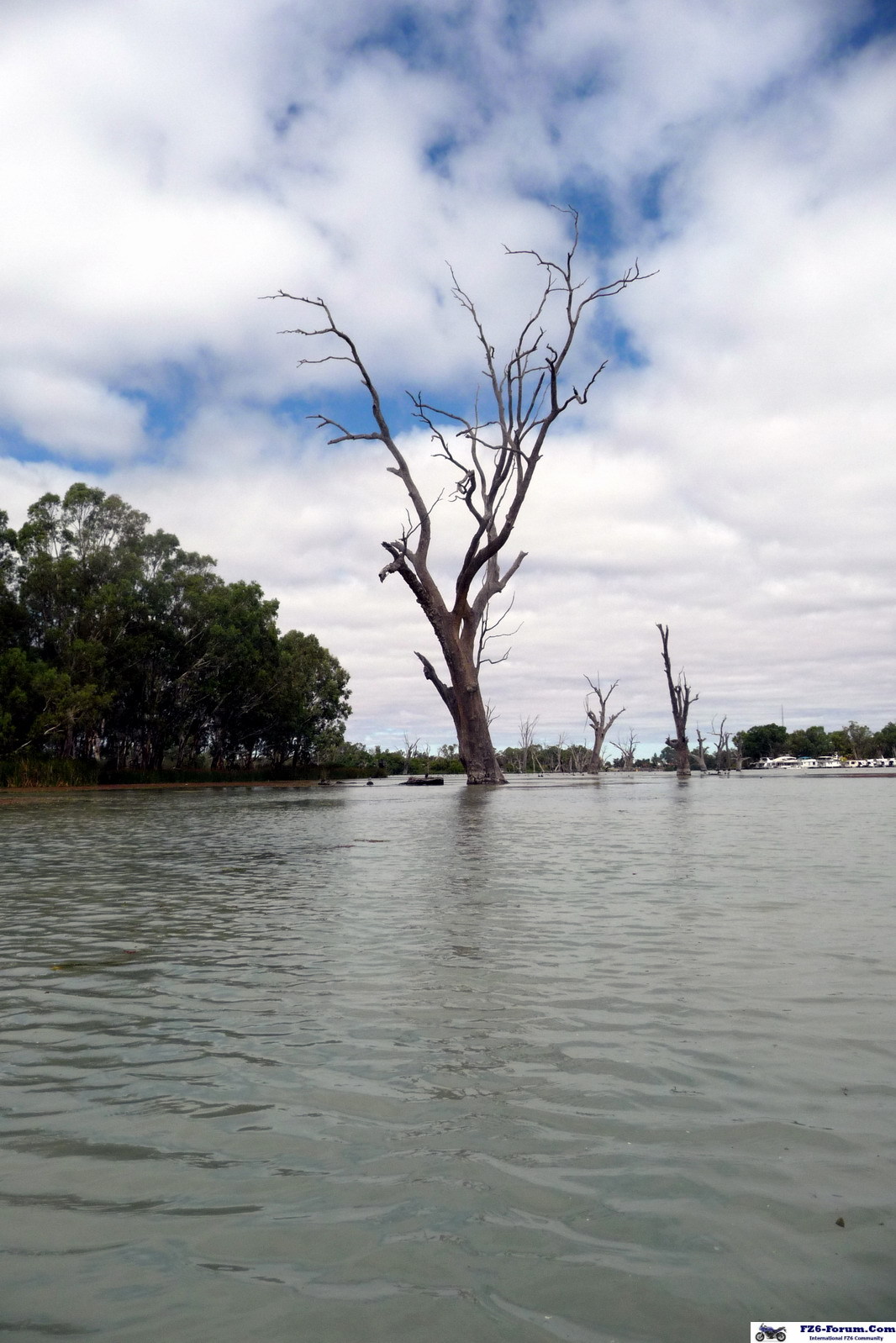 River Muray - Riverland