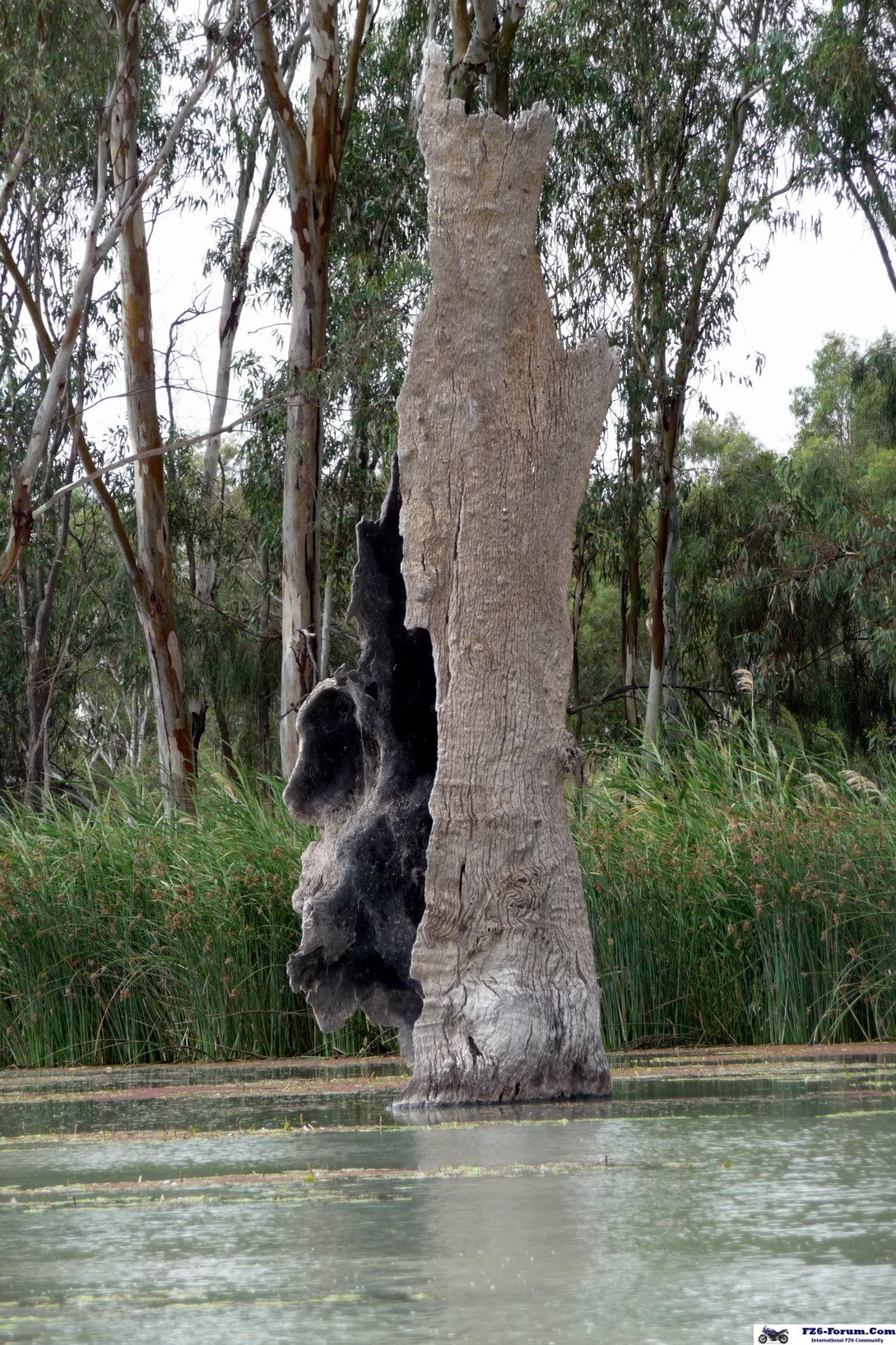 River Muray - Riverland