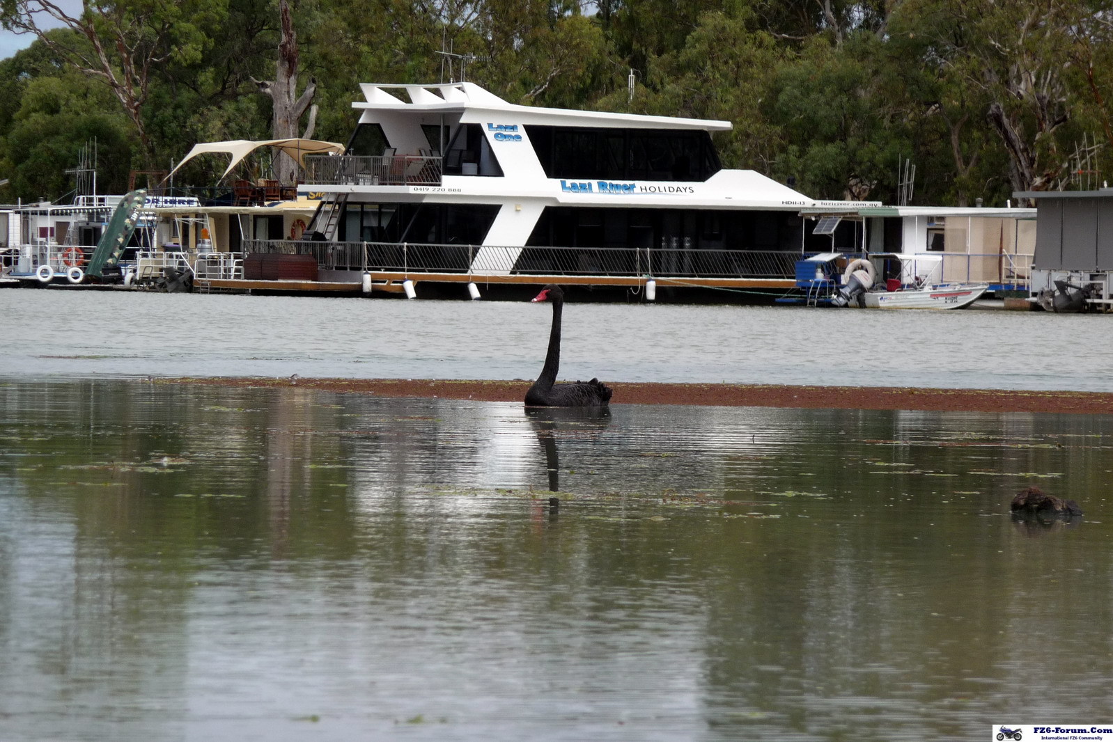 River Muray - Riverland